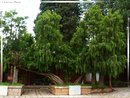 Palais des Fresques du village de BaiSha - été - 09  ---  Taille du fichier haute définition : 2272 x 1704