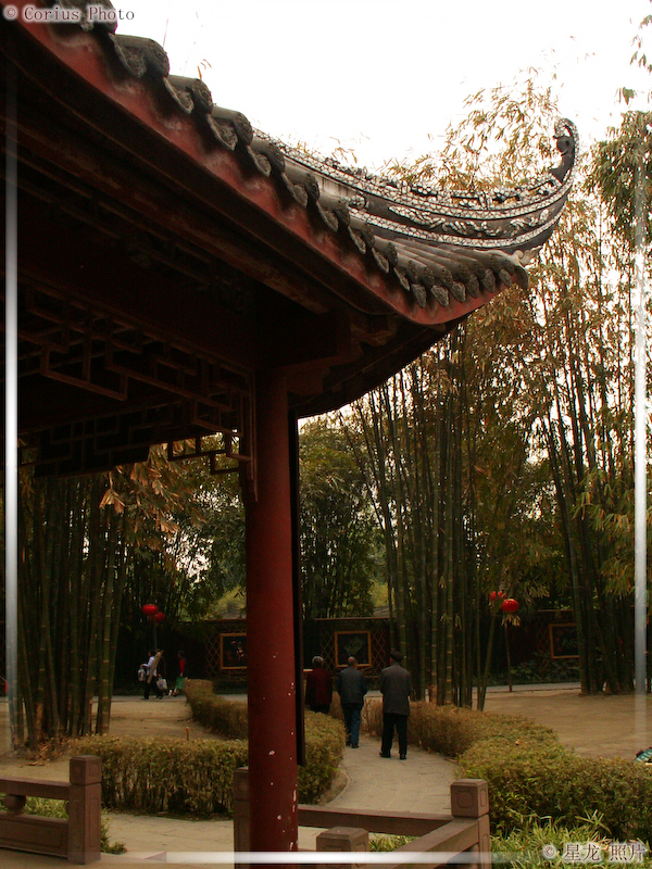 Chengdu - Province du SiChuan - 18  ---  Taille du fichier haute définition : 1704 x 2272