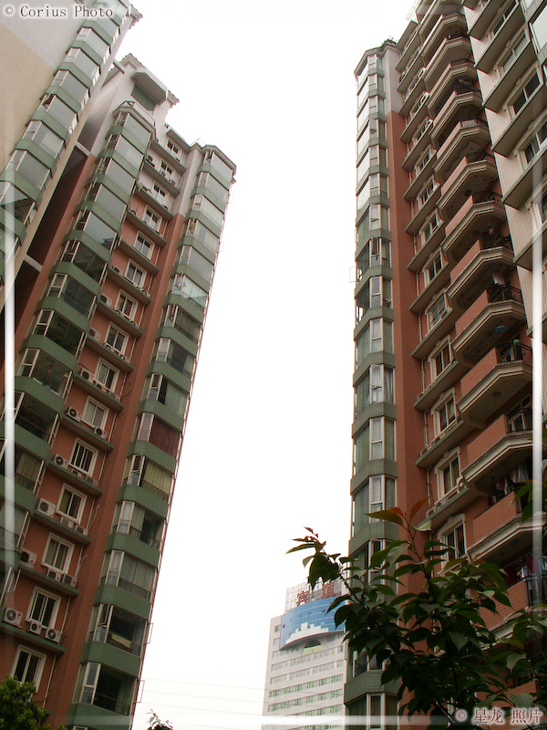 Chengdu - Province du SiChuan - 22  ---  Taille du fichier haute définition : 1704 x 2272