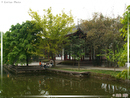Chengdu - Province du SiChuan - 12  ---  Taille du fichier haute définition : 2272 x 1704