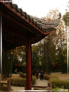 Chengdu - Province du SiChuan - 18  ---  Taille du fichier haute définition : 1704 x 2272
