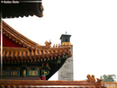 GuGong - Cité Interdite - 15  ---  Taille du fichier haute définition : 2272 x 1704
