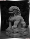 GuGong - Cité Interdite - 60  ---  Taille du fichier haute définition : 1704 x 2272