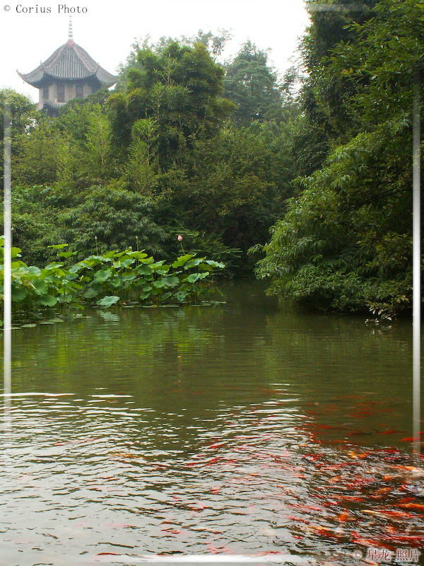 DuFu CaoTang - Parc de la Chaumière de DuFu - 11  ---  Taille du fichier haute définition : 1704 x 2272