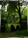 DuFu CaoTang - Parc de la Chaumière de DuFu - 07  ---  Taille du fichier haute définition : 1704 x 2272