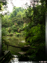 DuFu CaoTang - Parc de la Chaumière de DuFu - 24  ---  Taille du fichier haute définition : 1704 x 2272