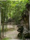 DuFu CaoTang - Parc de la Chaumière de DuFu - 25  ---  Taille du fichier haute définition : 1704 x 2272
