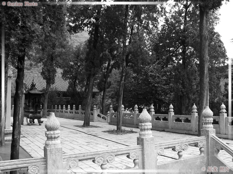 FaWang Si - Temple Fawang - 43  ---  Taille du fichier haute définition : 2272 x 1704