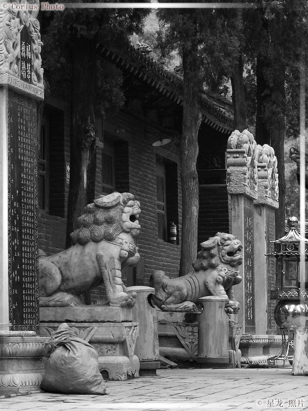 FaWang Si - Temple Fawang - 45  ---  Taille du fichier haute définition : 1704 x 2272