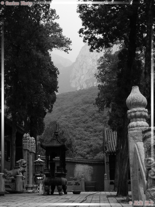 FaWang Si - Temple Fawang - 46  ---  Taille du fichier haute définition : 1704 x 2272
