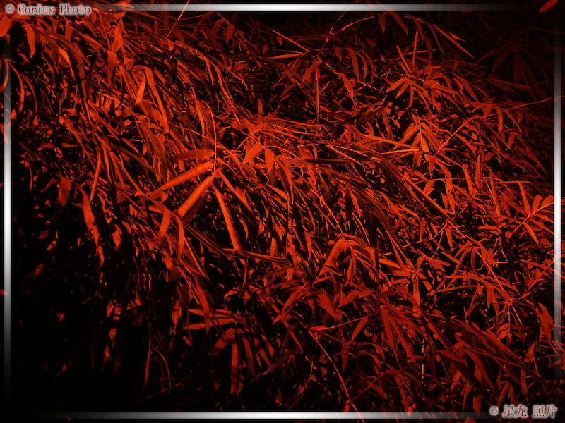 Nocturnes - 04  ---  Taille du fichier haute définition : 2272 x 1704