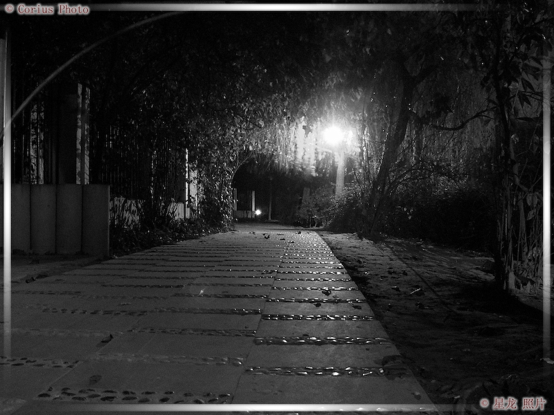 Nocturnes - 08  ---  Taille du fichier haute définition : 2272 x 1704