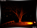 Nocturnes - 01  ---  Taille du fichier haute définition : 2272 x 1704