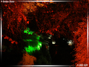 Nocturnes - 05  ---  Taille du fichier haute définition : 2272 x 1704