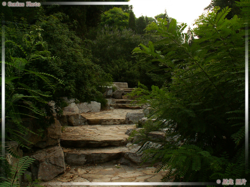 JingShan GongYuan - Parc JingShan - 05  ---  Taille du fichier haute définition : 2272 x 1704