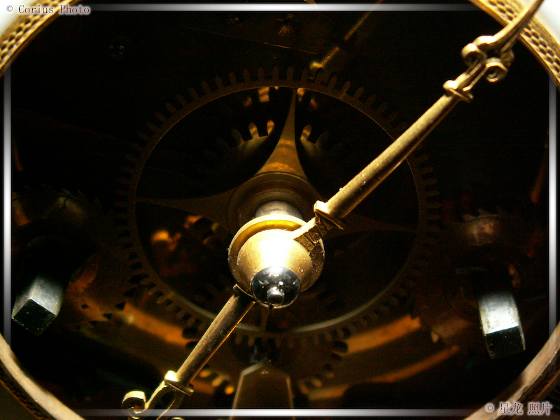 Macro - 23  ---  Taille du fichier haute définition : 2272 x 1704