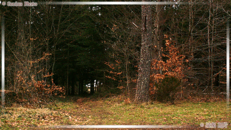 Nature - 07  ---  Taille du fichier haute définition : 2272 x 1278