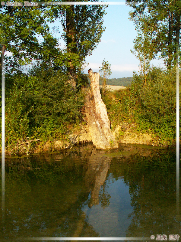 Nature - 15  ---  Taille du fichier haute définition : 1704 x 2272
