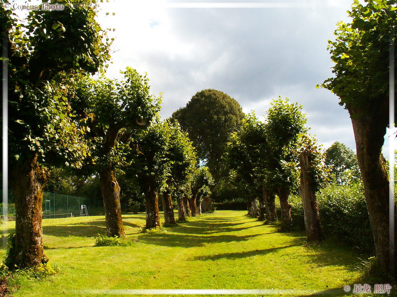 Nature - 18  ---  Taille du fichier haute définition : 2272 x 1704