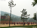 ShaoLin Si - Temple de Shaolin (temple de la jeune forêt) - 116  ---  Taille du fichier haute définition : 2272 x 1704