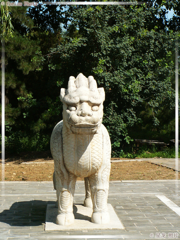 ShenDao - La Voie Des Esprits - 05  ---  Taille du fichier haute définition : 1704 x 2272