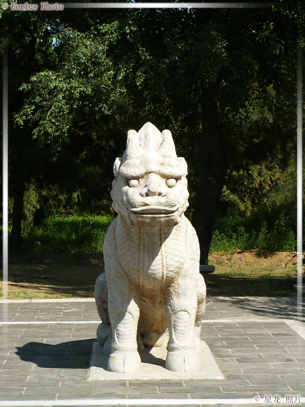 ShenDao - La Voie Des Esprits - 06  ---  Taille du fichier haute définition : 1704 x 2272