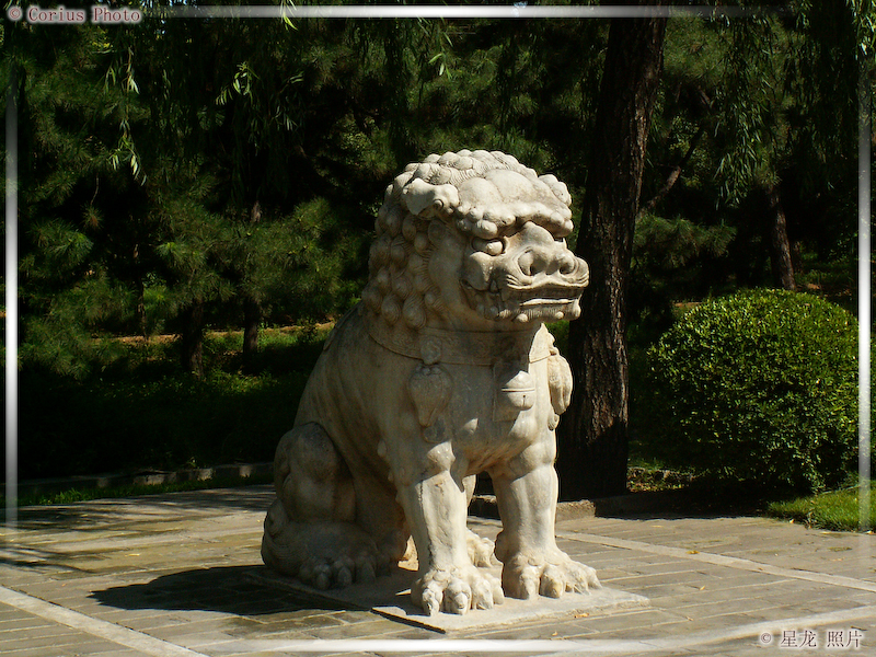 ShenDao - La Voie Des Esprits - 12  ---  Taille du fichier haute définition : 2272 x 1704