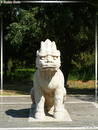 ShenDao - La Voie Des Esprits - 06  ---  Taille du fichier haute définition : 1704 x 2272