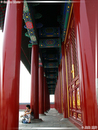 TianTai GongYuan - Parc du Temple du Ciel - 12  ---  Taille du fichier haute définition : 1704 x 2272