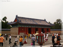 TianTai GongYuan - Parc du Temple du Ciel - 31  ---  Taille du fichier haute définition : 2272 x 1704