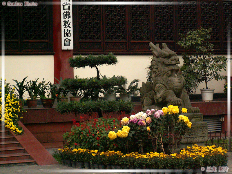 Temple WenHua - 41  ---  Taille du fichier haute définition : 2272 x 1704