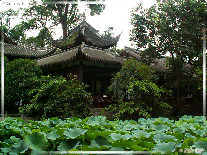 WuHou Ci - Temple Wuhou - 09  ---  Taille du fichier haute définition : 2272 x 1704