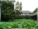 WuHou Ci - Temple Wuhou - 08  ---  Taille du fichier haute définition : 2272 x 1704