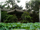 WuHou Ci - Temple Wuhou - 09  ---  Taille du fichier haute définition : 2272 x 1704