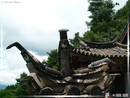 YuFeng Si - Temple du Pic de Jade - été - 06  ---  Taille du fichier haute définition : 2272 x 1704