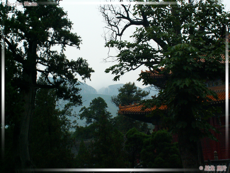 ZhongYue Miao - Temple ZhongYue - 25  ---  Taille du fichier haute définition : 2272 x 1704